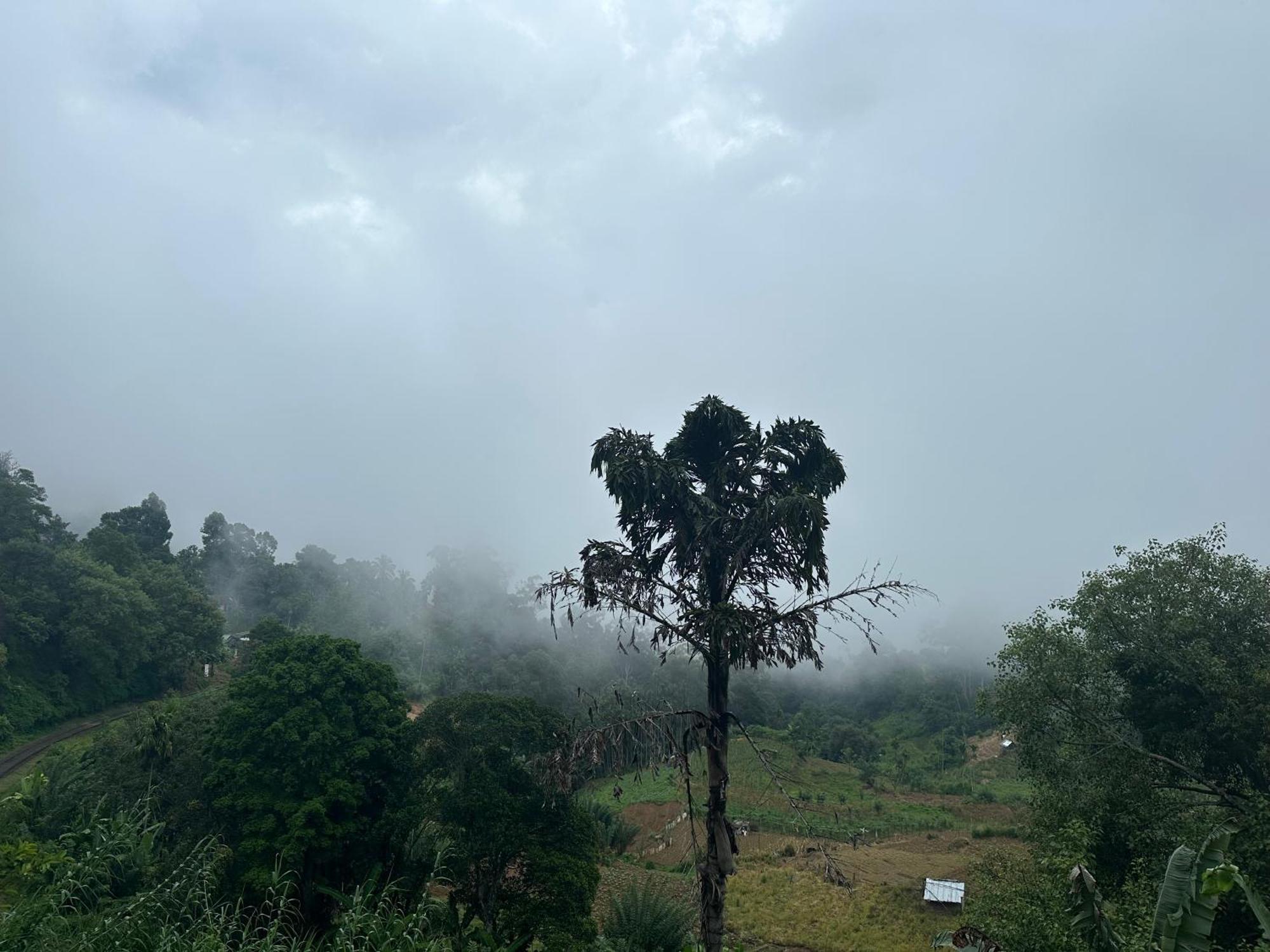 Ayubowan, Ella Exterior foto